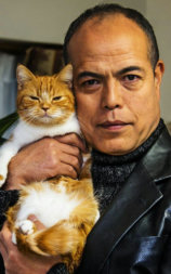 猫和凶相大叔2