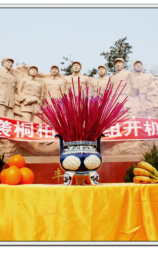 奔袭桐柏