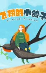 飞翔的小鸽子