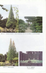 百家讲坛：大观园与清代园林艺术