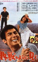 硝子的尊尼