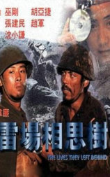 雷场相思树
