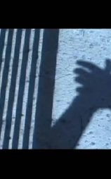 Hands