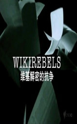 维基解密的抗争