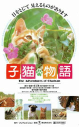 小猫的故事