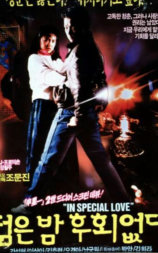 青春之夜无悔