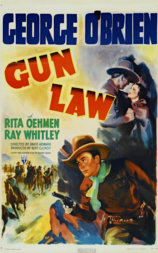 Gun Law