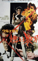 wolf guy 燃烧吧狼人