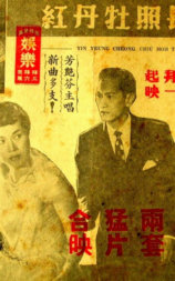 艷陽長照牡丹紅