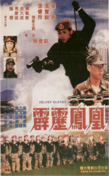 霹雳凤凰