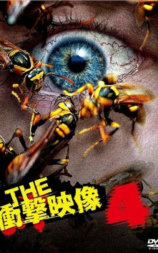 THE 冲击映像 4