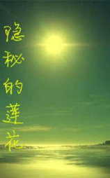 隐秘的莲花
