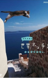 岩合光昭的猫步走世界