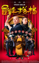 冒牌搭档