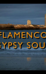 Flamenco: Gypsy Soul