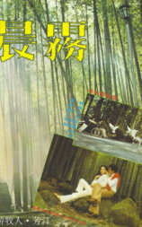 晨雾