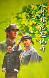 八月桂花遍地开