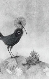 Volgens de vogels