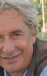 Wilde Pferde auf Hillesund