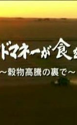 世界粮价飞涨的背后