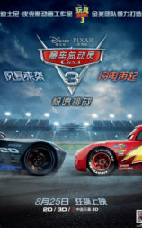 赛车总动员3：极速挑战