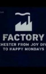 Factory: Manchester from Joy Division to Happy Mondays