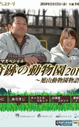 奇迹动物园2010