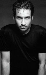 Inside the Actors Studio - David Duchovny