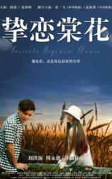 挚恋棠花