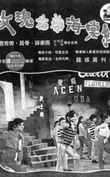 玫瑰芍药海棠红