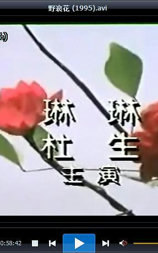 野浪花