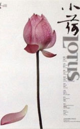 小荷