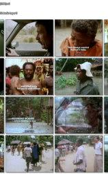 Man Without Pigs