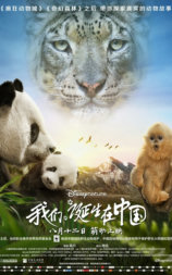 我们诞生在中国