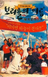 阳光足球少年