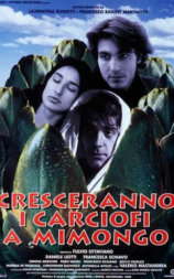 Cresceranno i carciofi a Mimongo