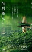 抬头遇见自己