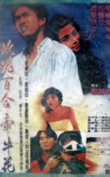 玫瑰百合牵牛花
