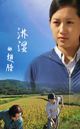 淋湿的翅膀