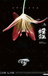 蜂狂
