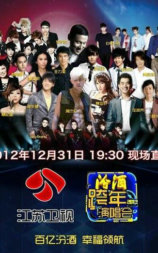 2013年江苏卫视跨年演唱会