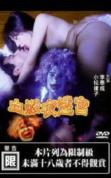 血杀夜迷宫