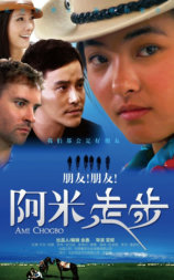 阿米·走步