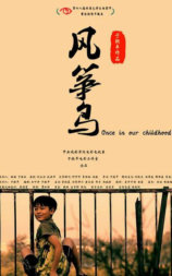 风筝鸟