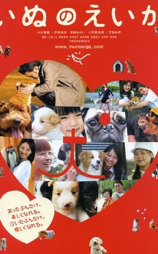 狗狗心事