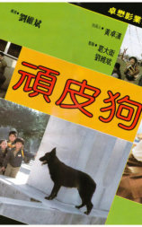 顽皮狗