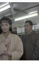 丘の上の向日葵