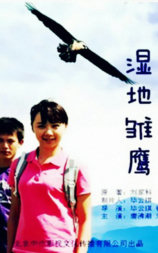 湿地雏鹰
