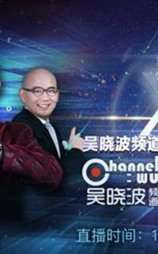 “预见2017”吴晓波频道年终秀