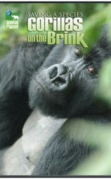Saving a Species: Gorillas on the Brink